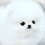 Profile Picture of David zeiser (@david.zeiser666) on Instagram