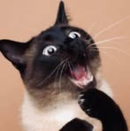 Profile Picture of David Mccutchan (@david.mccutchan.5) on Facebook