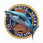 Profile Picture of White Shark Diving Company (@@whitesharkdiving) on Tiktok