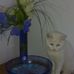 Profile Picture of John Sofia (@john.sofia.526) on Facebook