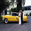 Profile Picture of Laurie and Nicholas (@Laurie and Nicholas) on Flickr