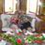 Cheryl & Nathan Sherman - Flickr Profile Picture of Cheryl & Nathan Sherman (@Cheryl & Nathan Sherman) on Flickr