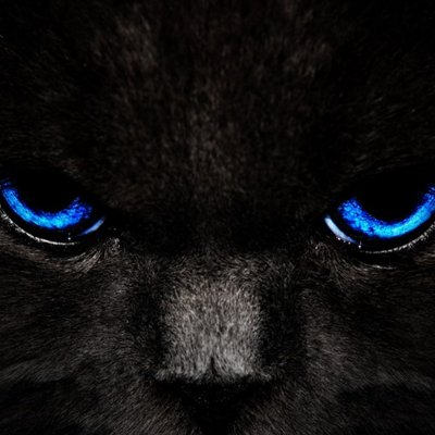 Profile Picture of Ralph Mitchell (@ceoforklift) on Twitter