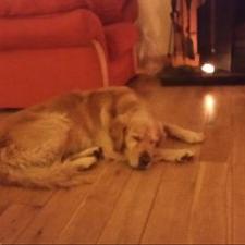 Profile Picture of Tony Corcoran (@tonygcorcoran1) on Twitter