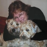 Profile Picture of Karen Nolan (@karen-nolan-26) on Quora