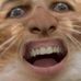 Profile Picture of Brian Wieckowski (@holly.harpy) on Facebook