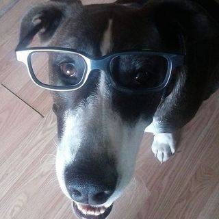 Profile Picture of Aaron Vasicek (@aaron.vasicek.3) on Facebook