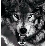 Profile Picture of thomason (@tomaskopecky2222) on Instagram