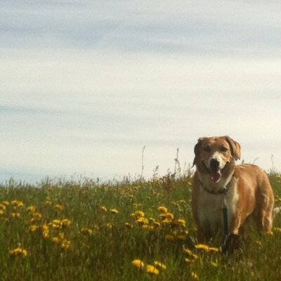 Profile Picture of Julia Blaser (@JuliaLulila) on Twitter