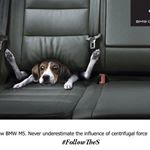 Bryan@BMWofSterling - Instagram Profile Picture of Bryan@BMWofSterling (@bryanbmwofsterling) on Instagram