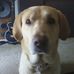 Profile Picture of John Muncrief (@john.muncrief) on Facebook