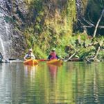 Profile Picture of Sandee Miller (@sandee.miller.7) on Instagram