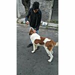 Profile Picture of Brian Omaña (@brian_omana) on Instagram