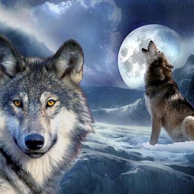 Paula Vaughan - Twitter Profile Picture of Paula Vaughan (@metalk1962) on Twitter