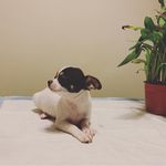 Profile Picture of Janette Riffer (@janetteriffer) on Instagram