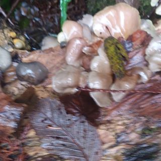 Profile Picture of James Vandelinder (@james.vandelinder.10) on Facebook