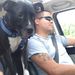 Profile Picture of Steve Reitz (@stevencreitz) on Pinterest