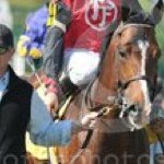 Profile Picture of Alex Candler (@a_candler) on Instagram