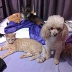 Profile Picture of Dawn Snowdon (@dawnsnowdon) on Instagram