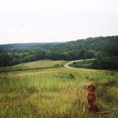 Profile Picture of Dan Casson (@djcasson) on Twitter