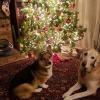 Profile Picture of Alex Grabowski (@alex-grabowski-8) on Quora