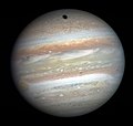 Profile Picture of Jupiteron Wikipedia