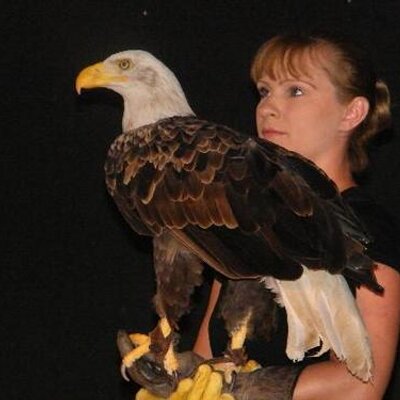 Profile Picture of Steven Cutler (@10012418) on Twitter