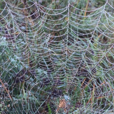 Profile Picture of Mario Ferrante (@mariofe10373603) on Twitter