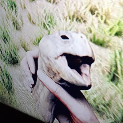 Profile Picture of Thomas Guiry (@Tommyshmurda12) on Twitter