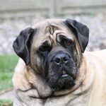 Profile Picture of Pamela Bailey (@pamela.bailey.184) on Instagram