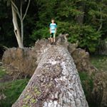 Profile Picture of Daniel Curline (@danielcurline) on Instagram