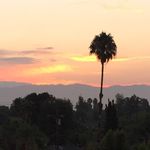 Profile Picture of Christina Stetzler (@misplacedcalifornian) on Instagram