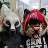 Profile Picture of Bryan Foust125 (@@wolfyjwolfy) on Tiktok