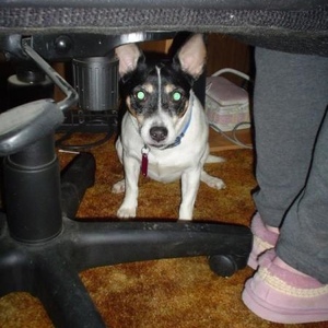 Jeanette Horner - Myspace Profile Picture of Jeanette Horner (@281316875) on Myspace