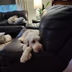 Profile Picture of Jeff Schermerhorn (@carl.schermerhorn.3) on Facebook