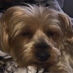 Profile Picture of Bill Park (@billwithoutb) on Instagram