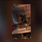 Profile Picture of Tyler Bown New (@Tyler-Bown-New) on Facebook