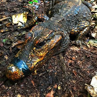 Profile Picture of Matt Shirley (@projetmecistops) on Twitter