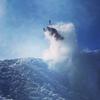 Profile Picture of Joey Curtis (@@joeycurtis0) on Tiktok