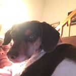 Profile Picture of Maryann Sinclair (@sinclairmaryann) on Instagram