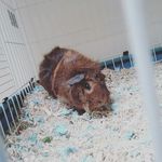 Profile Picture of Ginger Evans (@ginger_evans_) on Instagram