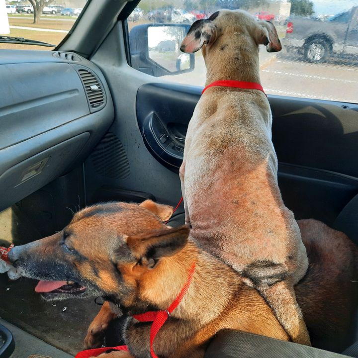 Profile Picture of Dustin Radke (@@dustinradke) on Tiktok