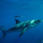 Profile Picture of Wayne Halverson (@waynehalverson) on Instagram