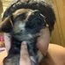 Profile Picture of Adam Tomblin (lil Adam) (@Adam-Tomblin) on Facebook