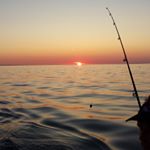 Profile Picture of Thomas Dudzik (@thomas_dudzik) on Instagram