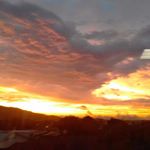 Profile Picture of Daniel Presley (@danipresley51) on Instagram