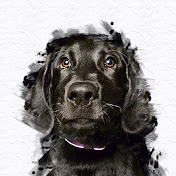 Profile Picture of Bree Walker (@BreeNWalker) on Youtube