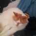 Profile Picture of Leonard Tharp (@leonard.tharp.35) on Facebook