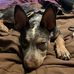 Profile Picture of Joann Schaeffer (@joann.schaeffer.967) on Facebook