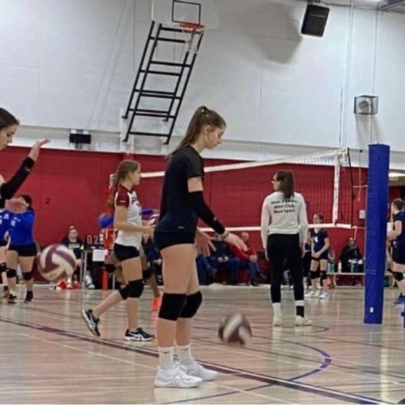 Blanche Laliberte - Poshmark Profile Picture of Blanche Laliberte (@blanchelalibert) on Poshmark